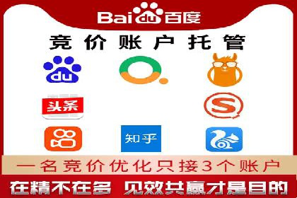 热门SEM运营公司案例深度剖析